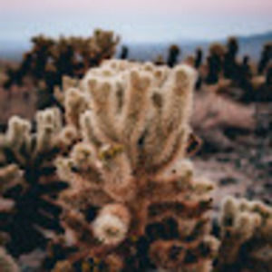 Meet your Posher, Karlo andrei